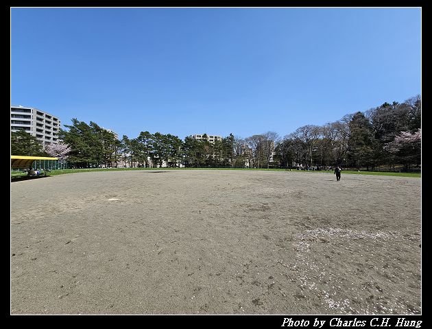 北海道賞櫻–Day 7–円山公園、北海道神宮