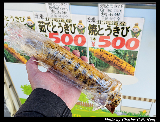 北海道賞櫻–Day 7–大通公園 - 第8張圖 北海道賞櫻–Day 7–大通公園