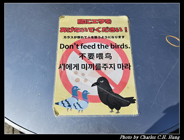 北海道賞櫻–Day 7–大通公園 - 第12張圖 北海道賞櫻–Day 7–大通公園