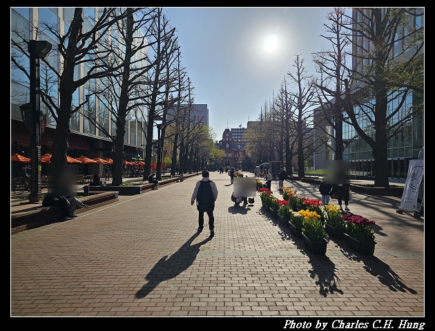 北海道賞櫻–Day 7–北海道廳舊本廳舍(北海道庁赤れんが庁舎) - 第4張圖 北海道賞櫻–Day 7–北海道廳舊本廳舍(北海道庁赤れんが庁舎)