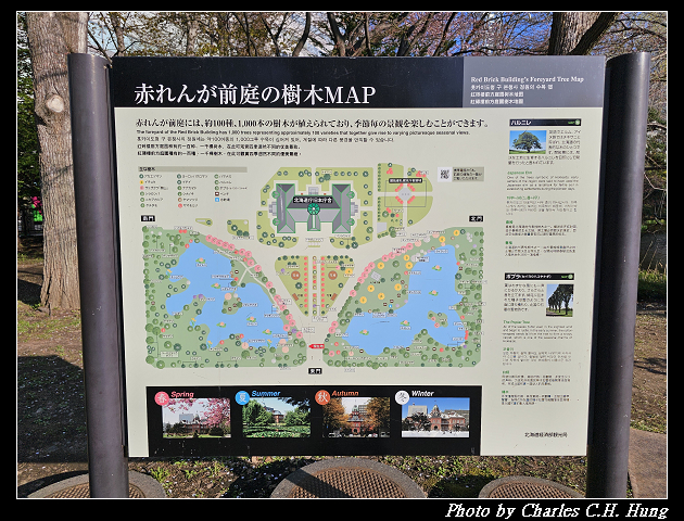 北海道賞櫻–Day 7–北海道廳舊本廳舍(北海道庁赤れんが庁舎) - 第25張圖 北海道賞櫻–Day 7–北海道廳舊本廳舍(北海道庁赤れんが庁舎)